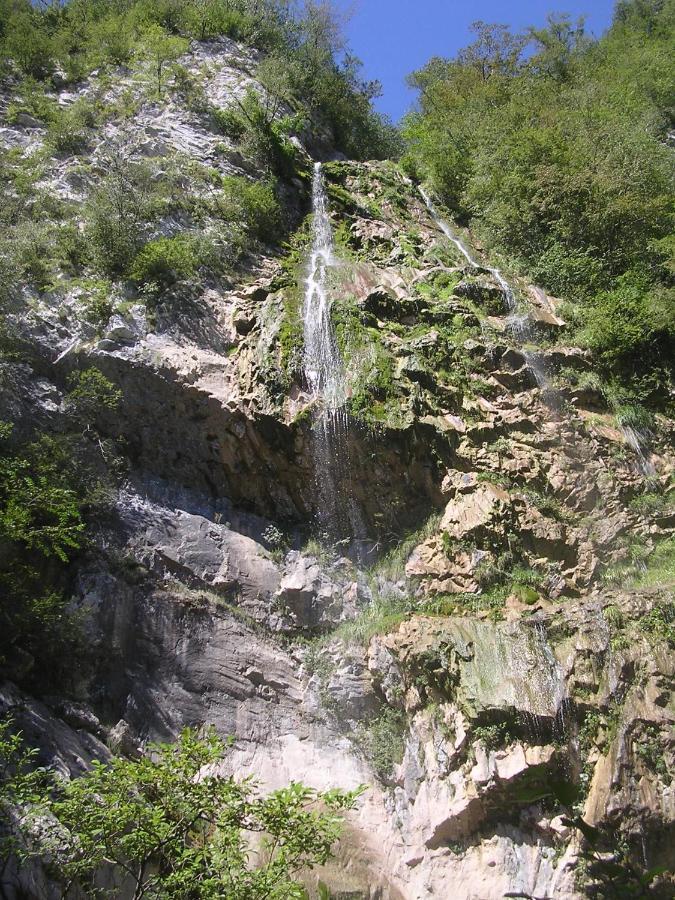 Bosco Delle Rune ..Un Angolo Di Paradiso Platischis Exterior foto