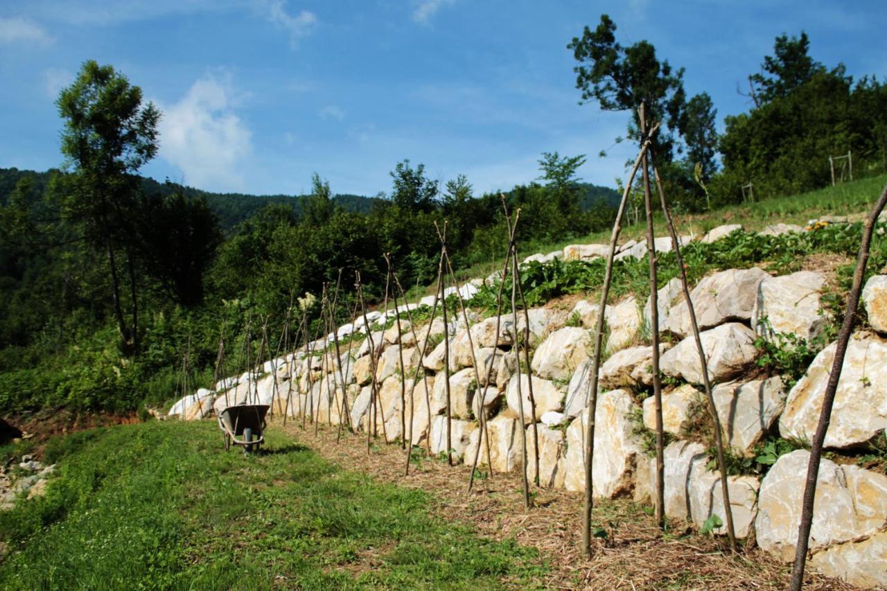 Bosco Delle Rune ..Un Angolo Di Paradiso Platischis Exterior foto