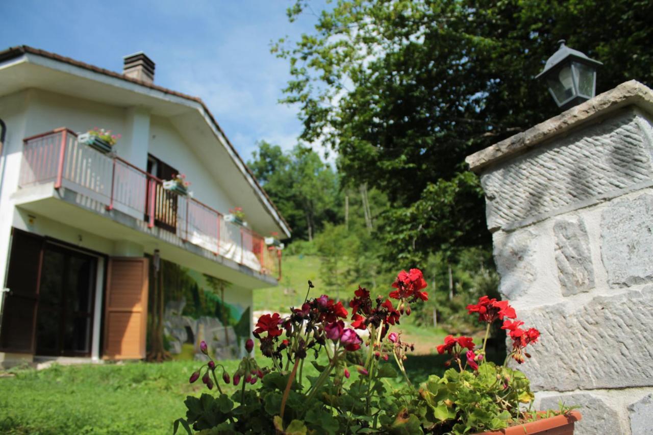 Bosco Delle Rune ..Un Angolo Di Paradiso Platischis Exterior foto