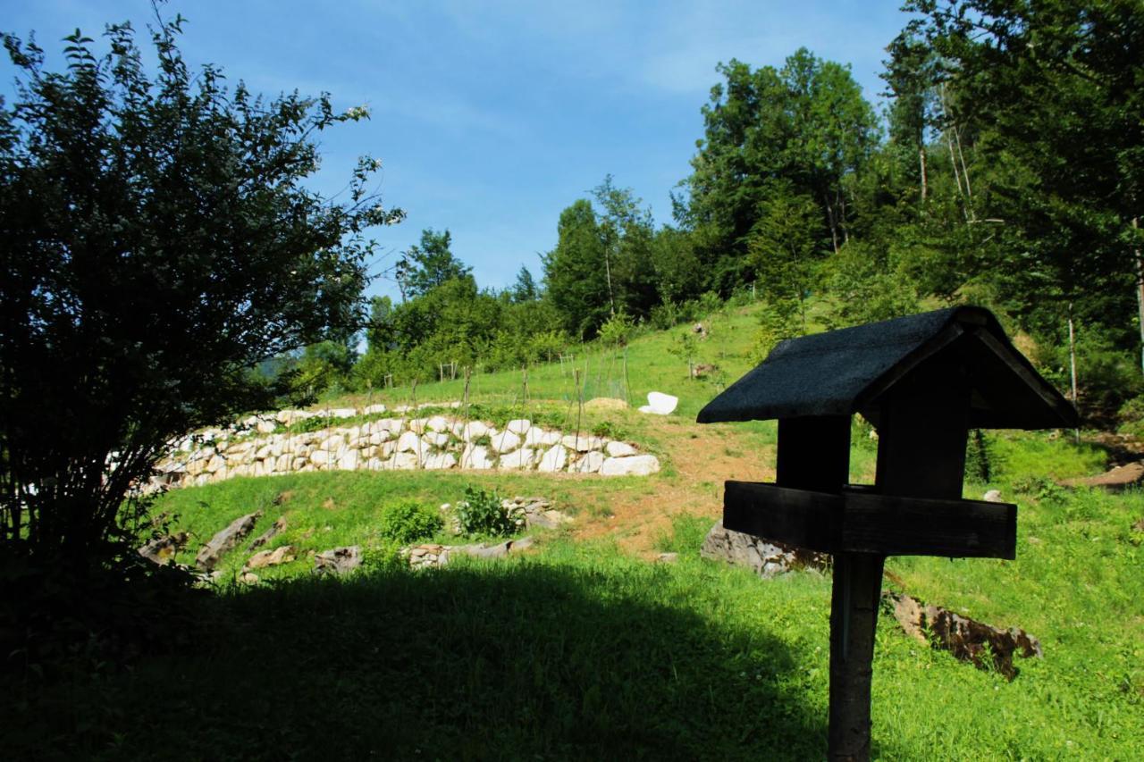Bosco Delle Rune ..Un Angolo Di Paradiso Platischis Exterior foto
