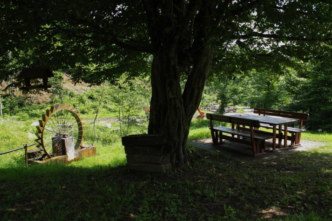 Bosco Delle Rune ..Un Angolo Di Paradiso Platischis Exterior foto